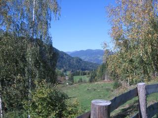 Pichelhütte - Murau - 6