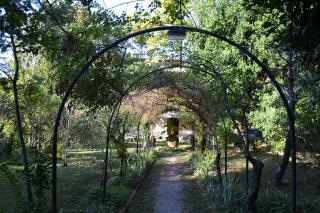 Villa Carola - San Giuliano Terme - 9