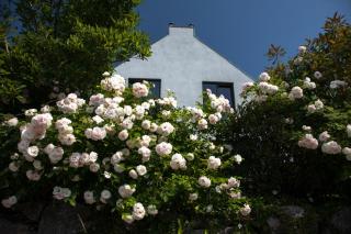 Ferienhaus Sonnensteg 23 - Ostseebad Sellin - 6