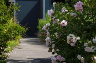 Ferienhaus Sonnensteg 23 - Ostseebad Sellin - 4