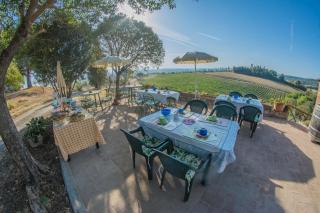 Agriturismo La Ripolina - Buonconvento - 6