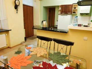 Lviv City Apartment - Lviv - 5
