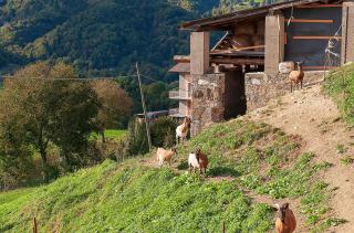 Bed &Breakfast Bellavista - San Giovanni Bianco - 2