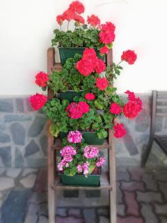 Garni Delia - Livigno - 4