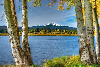 Rock Ridge 39 - Black Butte Ranch - 7
