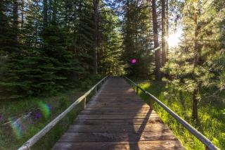 Rock Ridge 39 - Black Butte Ranch - 3