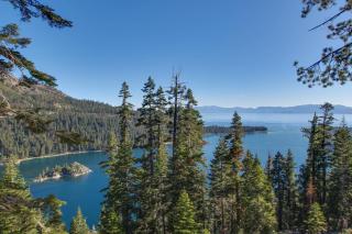 Elegant Pine - South Lake Tahoe - 3