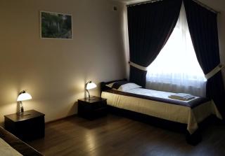 Hotel Central Park - Velyikyy Bychkiv - 3