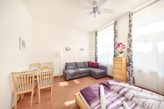 Paradise Apartment - Praga - 7