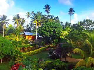 Maqai Beach Eco Resort - Qamea - 8