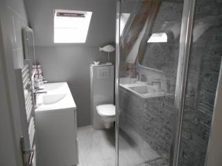 F3 2CHBS TOUT EQUIPE SULLY CENTRE - Sully-sur-Loire - 3