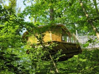 Les cabanes du lac du Der - 4