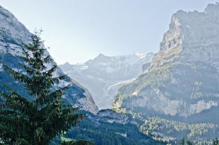 Apartment Felix - GRIWA RENT AG - Grindelwald - 1