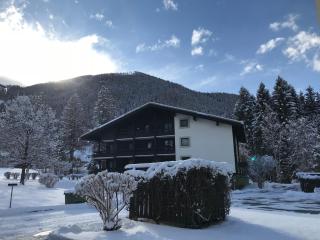 Appartementanlage Thermenblick SKI IN & SKI OUT - Bad Kleinkirchheim - 4