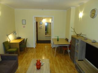 Old Riga Town Hall apartment - 2