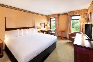 The Copthorne Hotel Cardiff - Cardiff - 7