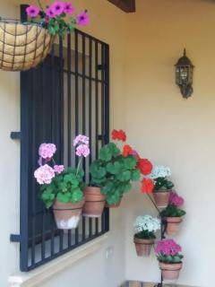 Casas Rurales Cortijo Bellavista - 7