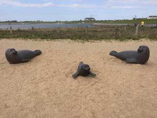 Pension Abendsonne - 5