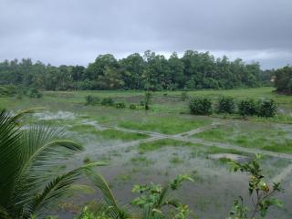 Thilak House - Hikkaduwa - 2