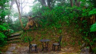 Forest West Nishi - 4