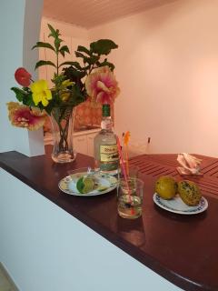 Coralia BAYALOCATION - Sainte-Luce - 4