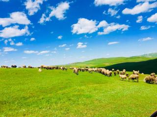 Lantern Hotel - Hohhot - 9