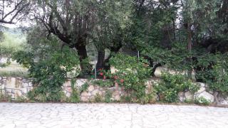 The Stone House-Zacharatos Nikolaos - Pouláta - 7