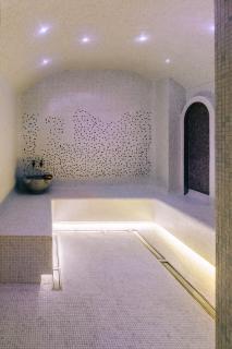 Mandachi Hotel & SPA - Suceava - 1