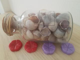 Parfumerie 5 Terre - 1