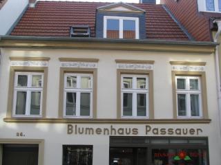 2 Ferienwohnungen mitten in der Innenstadt - Greifswald - 0
