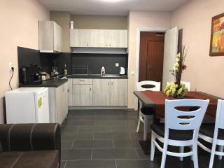 Apartments Orpheus Residence - Velingrad - 1