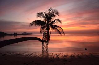 Shanti Boutique Hotel - 6