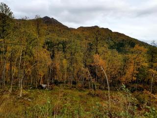 Leilighet i Åmotsdal - 3