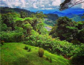 J Residence - Kundasang - 5