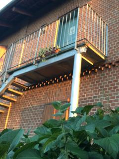 Bed & Breakfast Il mio Gelso - 1