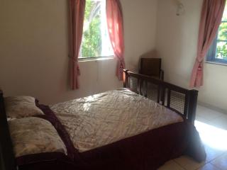 Spacious White House Villa 1 minute to sandy beaches - Saint James - 1