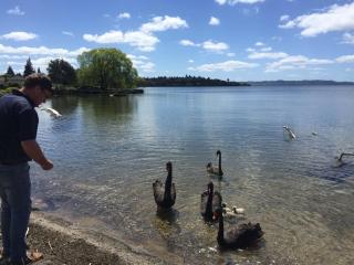 Super Lake Edge Lodge - Rotorua - 2