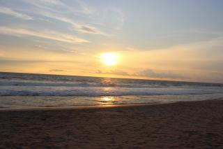 Palm Garden Guest House - Galle - 5