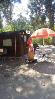 Camping Europa Beach - Castellare-di-Casinca - 8