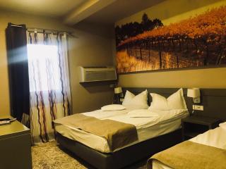 Sarea-n Bucate (Crama la Salina) - 1