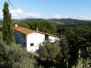 "Alle Montanine" Sughera - Firenze - 0