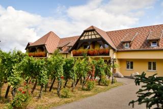 Auberge Ramstein Hôtel - Restaurant - Scherwiller - 8