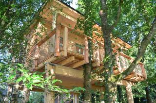 MainBaumhaus - Lengfurt - 7
