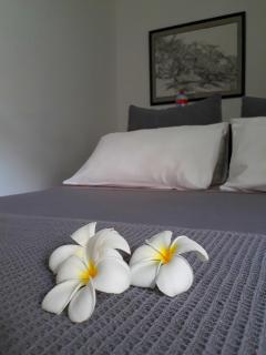 "27" Spathodea- Oasis in the City - Colombo - 7