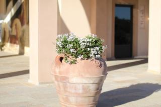 Agriturismo Colleoli - 1