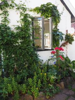 Elins Lycka i Viken - Viken - 2