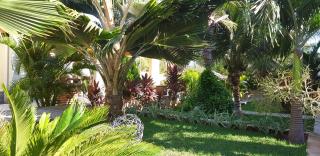 Ravenala Hotel Boutique - Canoa Quebrada - 2