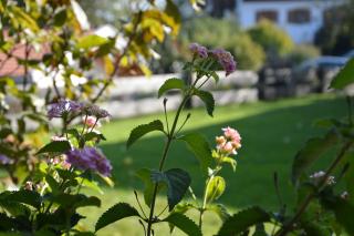 Pension Willibald - Bad Tölz - 4