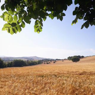 Valcastagno Relais & Residence - Sirolo - 3