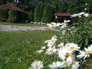 Vila Doina Branului - Bran - 5
